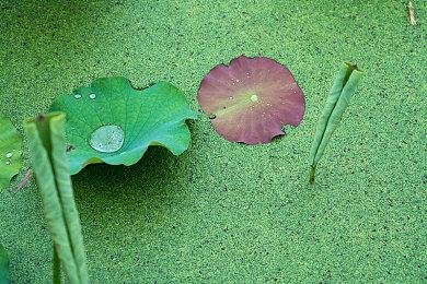 RTX 3090＆光追＆8K运行《消逝的光芒》 视效炫酷